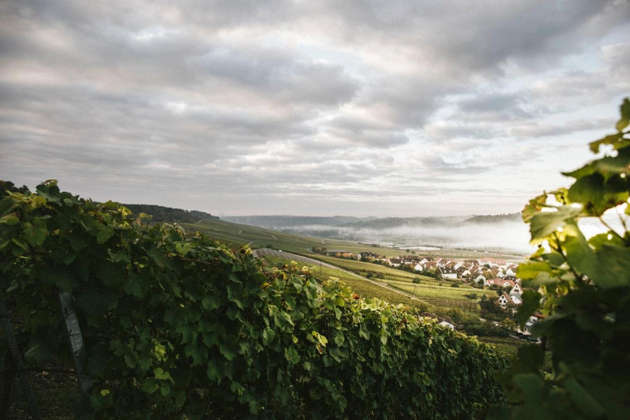 Отель Weingut Pastoriushaus - Artur Steinmann Зоммерхаузен Экстерьер фото