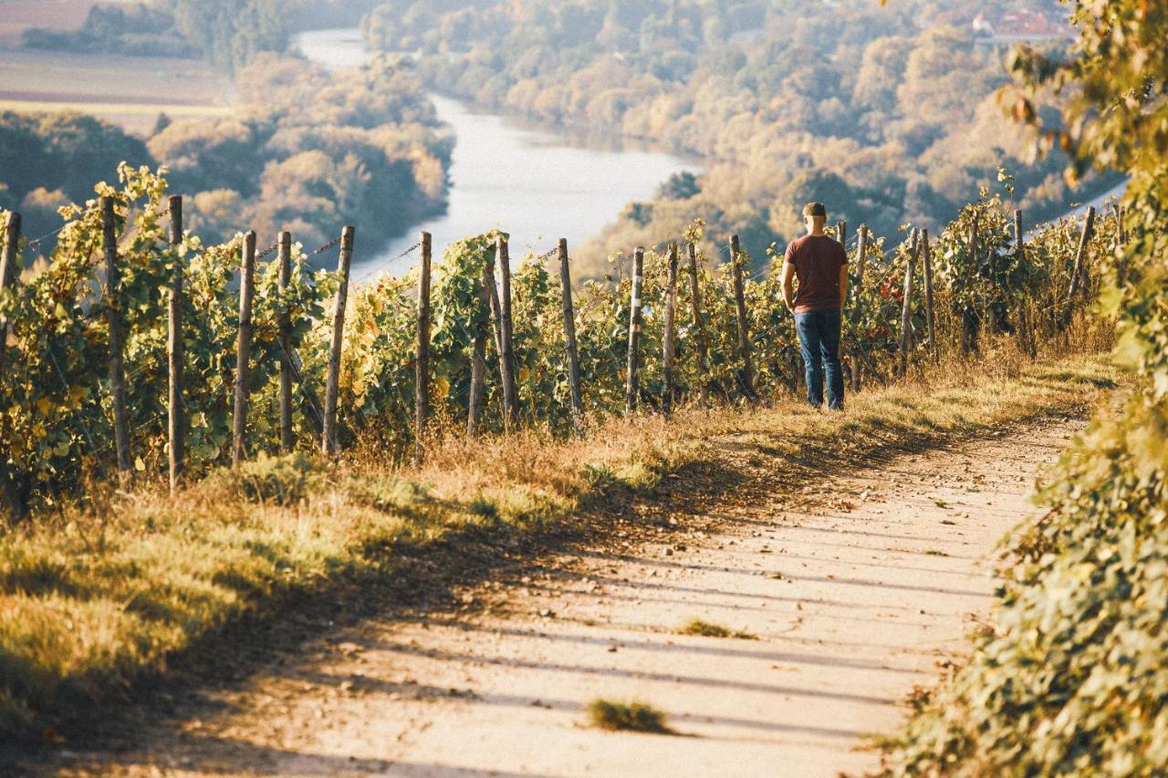 Отель Weingut Pastoriushaus - Artur Steinmann Зоммерхаузен Экстерьер фото
